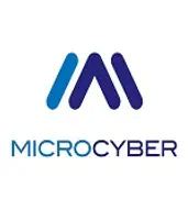 Microcyber, ООО